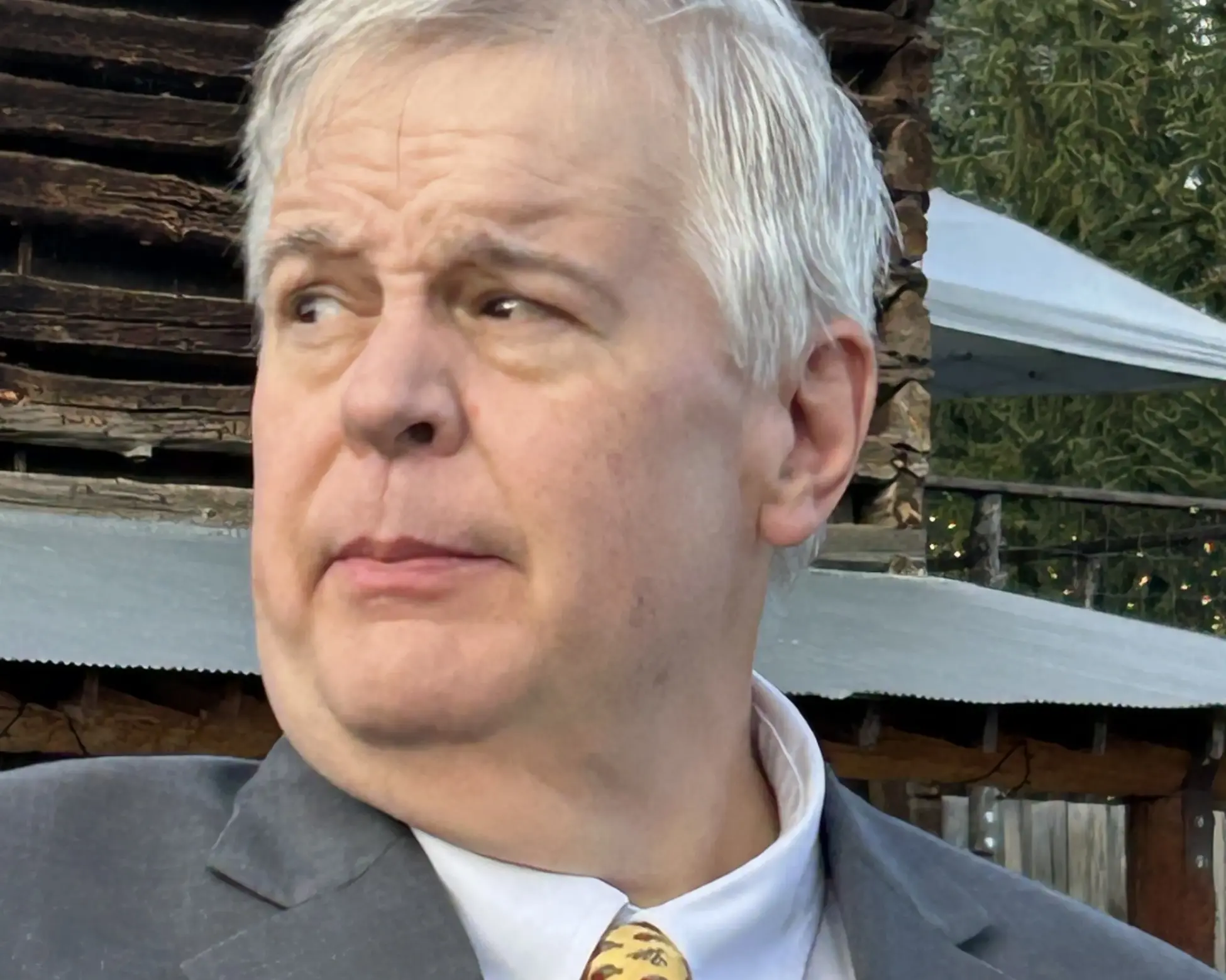Peter Reville in a gray suit and patterned yellow tie, looking to his left.